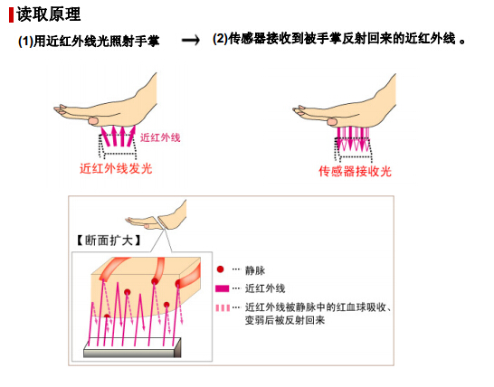 非接觸型手掌靜脈識別技術解析