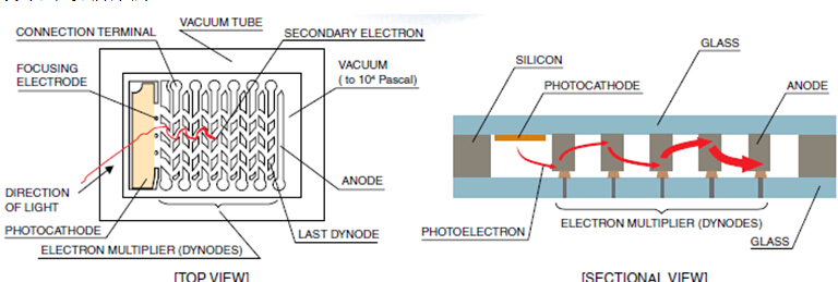 濱松μPMT內部構造