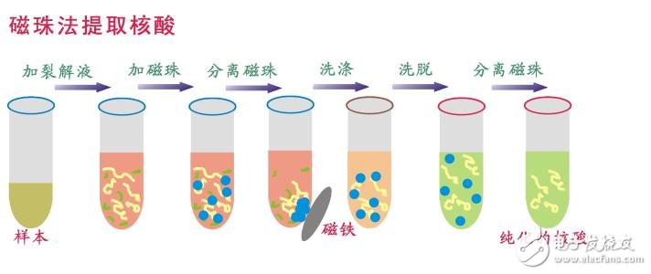 什么是生物磁珠_磁珠法提取DNA簡介