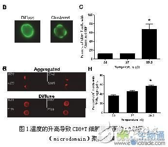 基于高內涵顯微成像流式細胞儀的免疫學研究