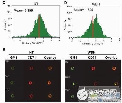 基于高內涵顯微成像流式細胞儀的免疫學研究